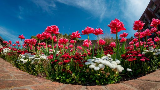 Fleurissement et espaces verts