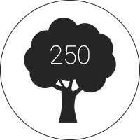 Arbres dans les cimetières