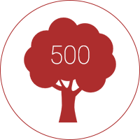 Arbres dans les écoles municipales