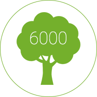 Arbres situés en espaces verts