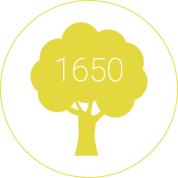 Arbres sur les terrains de sport et les complexes sportifs