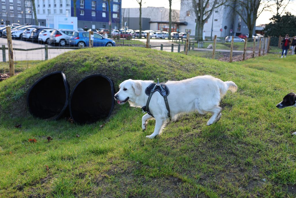Le Caniparc de Lens a ouvert ses portes !