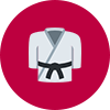 12 - judo.png