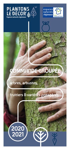 plantons le decors-1.jpg